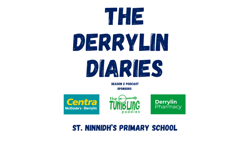 Derrylin Diaries 